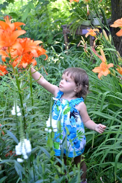 Dziewczynka wygląda w ogrodzie Lilie — Zdjęcie stockowe