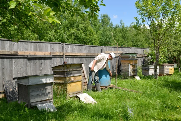 The beekeeper on an apiary — Stock Photo, Image