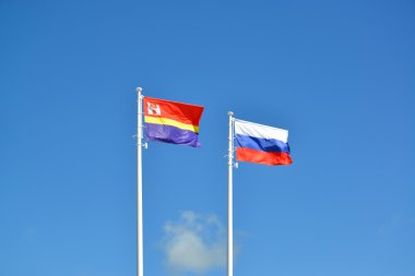Bayraklar, Rusya ve t karşı çırpınan kaliningrad bölgesi