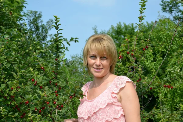 Portrait de la femme d'années moyennes dans le verger de cerisiers — Photo