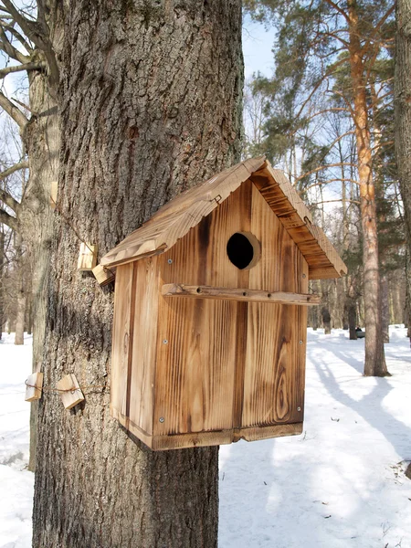 Nesting box on a tree in the winter wood — Stock Photo, Image