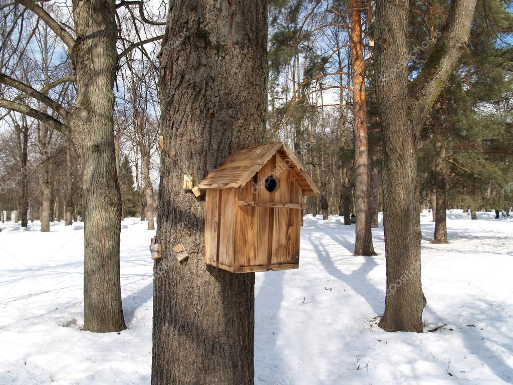 Nesting box on a tree in winter park