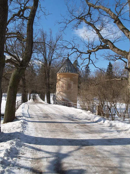 Pavlovsk. Sehen Sie auf Pfahl einen Turm — Stockfoto