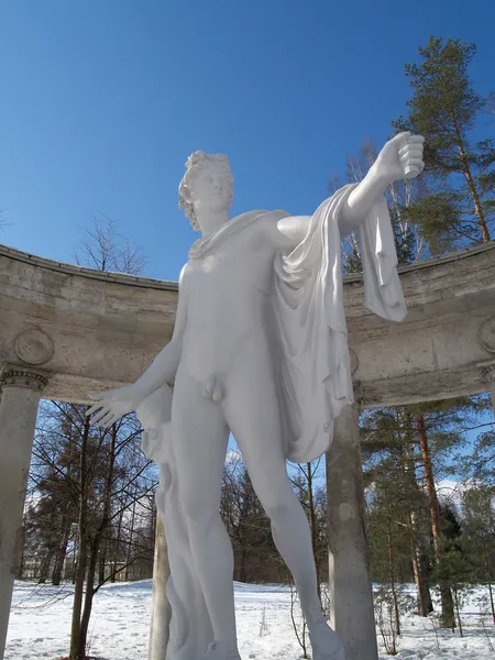 Pavlovsk. Apollo-Kolonnade gegen den Himmel — Stockfoto