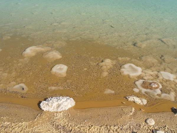 Bottom of the Dead Sea, Israel — Stock Photo, Image