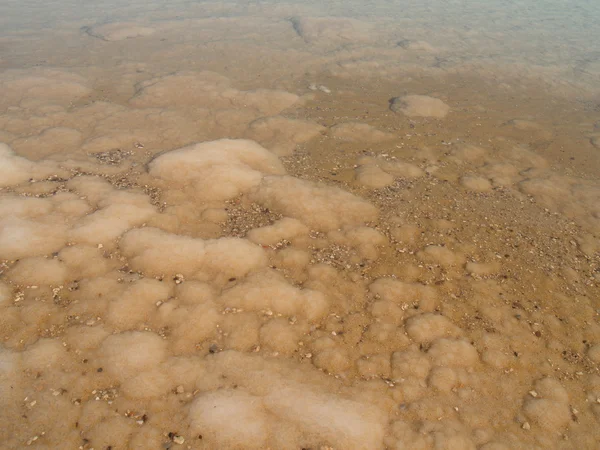 Bottom of the Dead Sea, Israel — Stock Photo, Image