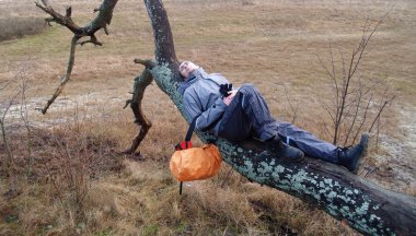 genç adam bir ağaç üzerinde yatan bir dinlenme vardır