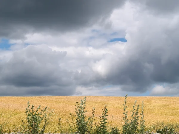 Thunderclouds over a field — Stock Photo, Image