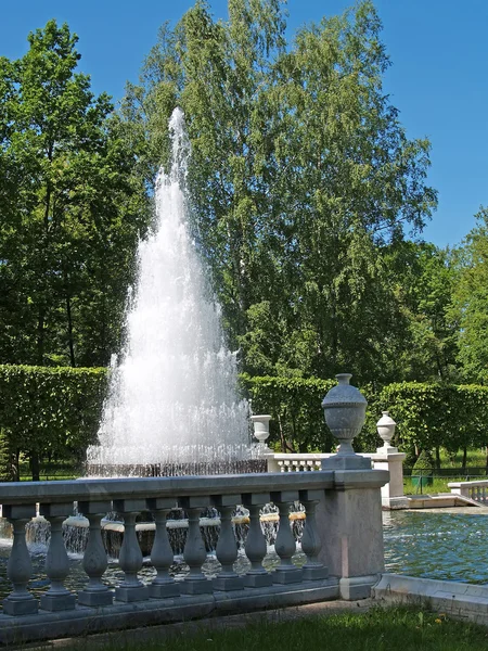 Peterhof. pyramida fontána v parku Nižnij — Stock fotografie