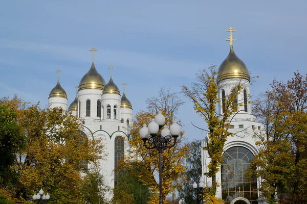 Kaliningrad. Katedralen Kristus Frälsaren och saint Pjotr och — Stockfoto