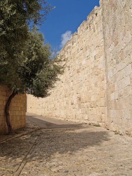 Israel, jerusalem. smal liten gata i den gamla staden — Stockfoto