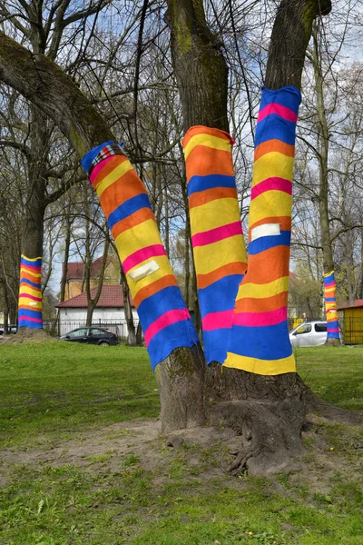 Yarnbombing en los árboles en Kaliningrado — Foto de Stock