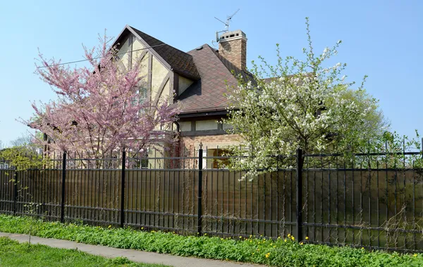 Blossoming fruit-trees before a cottage — Stock Photo, Image