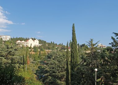 Kırım, yalta. Eski park manzarası