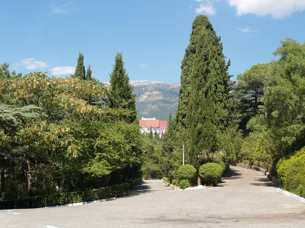 La avenida en el parque antiguo —  Fotos de Stock