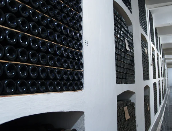 Wine vault of wine-making combine in the Crimea — Stock Photo, Image