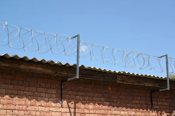 The barbed wire is tense over a brick wall — Stock Image The barbed wire is tense over a brick wall Stock Picture