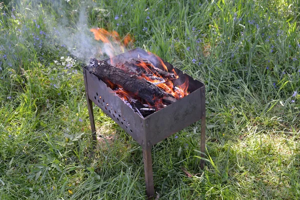 Барбекю з палаючими дровами коштує на траві — стокове фото