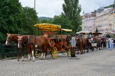 Karlovy Vary, Czec turist sürüş için at Araçlar