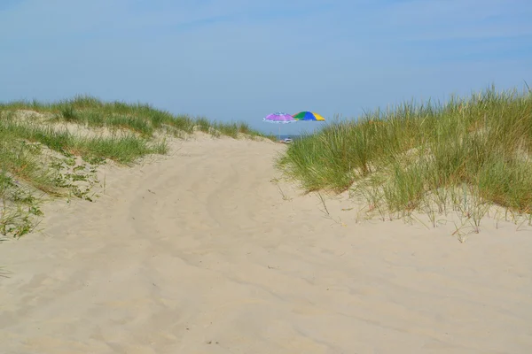 Beach umbrellas on the sandy coast of the Baltic Sea — Stock Photo, Image