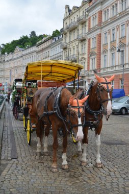 karlovy Vary, Çek turistlerin getirdiğin için at araç