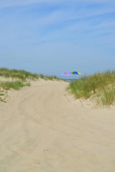 Sandy coast of the Baltic Sea — Stock Photo, Image