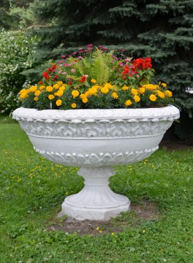 Park saksı çiçekleri ile