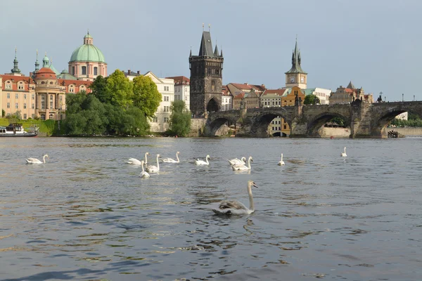 Prague. Vue sur la rivière Vltava et le pont Karlov — Photo