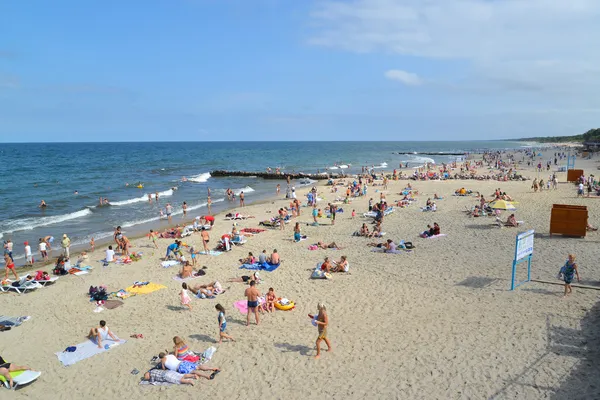 Pláž na břehu Baltského moře, Rusko Royalty Free Stock Fotografie