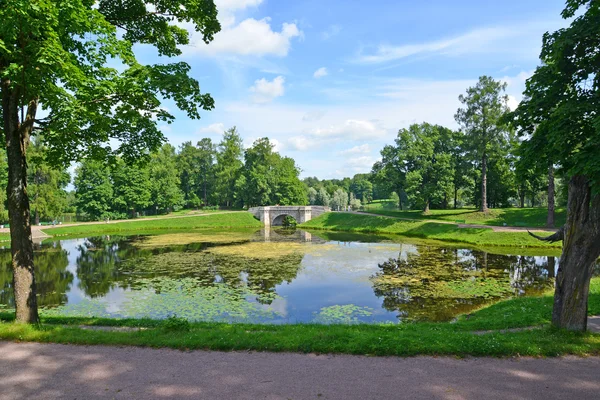 Paisagem de verão com uma lagoa no parque do palácio de Gatchina — Fotografia de Stock