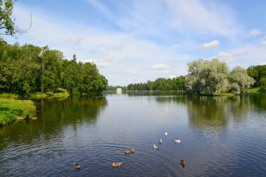 Lake beloye Park'ta gatchina, Rusya Federasyonu