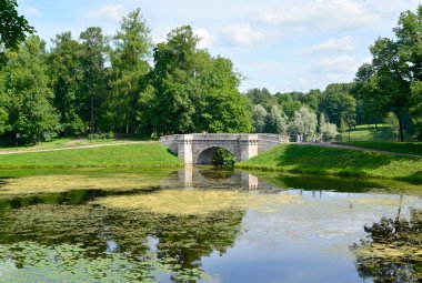 Karpin gölet ve karpin bir köprü gatchina park otellerini göster 