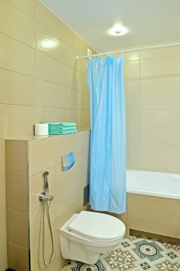 Açık renkli birleşik banyo.