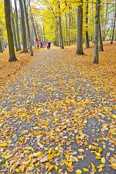 Yellow Autumn Leaves Lie Path Park — Stock Photo, Image