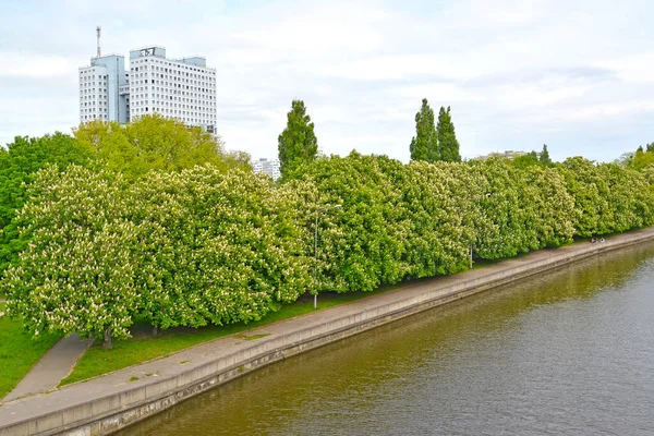 Uitzicht Het Huis Van Sovjets Pregoli Dijk Met Bloeiende Kastanjes — Stockfoto