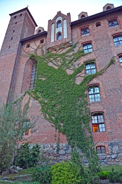 Stěna Rytířského Hradu Teutonského Řádu Zametená Hrozny Panen Gniew Polsko — Stock fotografie