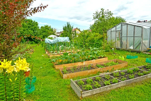 Sommarstuga Med Höga Sängar Och Växthus — Stockfoto