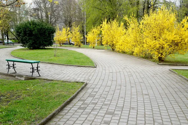 Stadtplatz Mit Blühenden Sträuchern Und Beereneiben Königsberg — Stockfoto