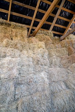 Samanların altında katlanmış saman balyaları
