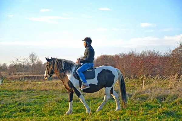 Man Rides Horse Pegged Suit Autumn Pasture — Stock Photo, Image