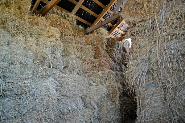 干し草の屋根の下に折り畳まれた干し草の山 — ストック写真