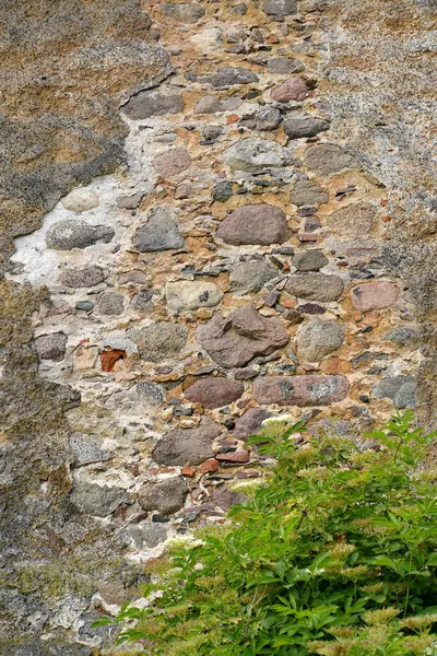 Fragment Masonry Wall Labiau Order Castle Xiii Century Polessk Kaliningrad — Stock Photo, Image