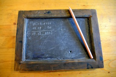 KALINGRAD REGION, RUSSIA - 19 Temmuz 2020: kaydedilmiş örnekle birlikte kalem ve griffin tahtası. Müze 