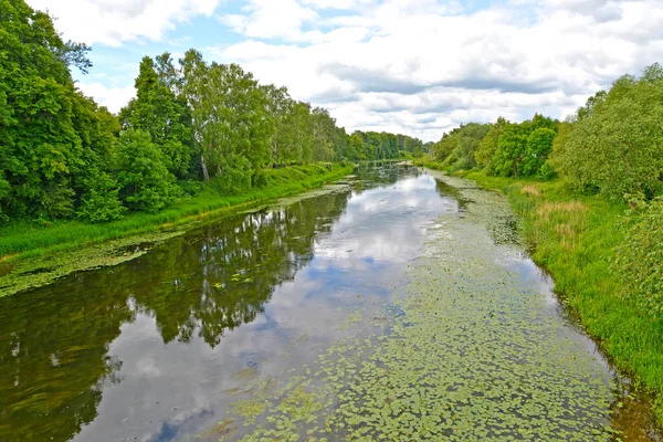 View Lava River Summer Pravdinsk Kaliningrad Region — Foto Stock