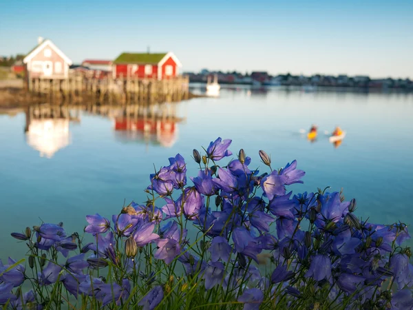 Classic Norway view — Stock Photo, Image