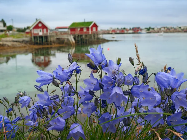 Classic Norway view — Stock Photo, Image