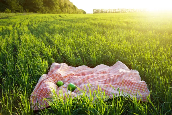 Picnic — Stock Photo, Image