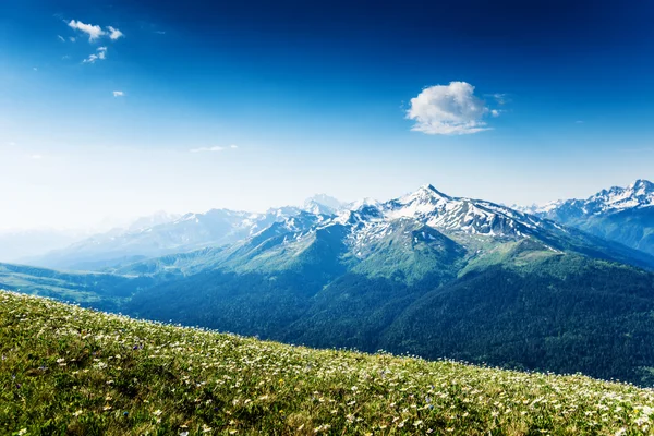 Paesaggio montano — Foto Stock