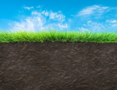 çim ve toprak