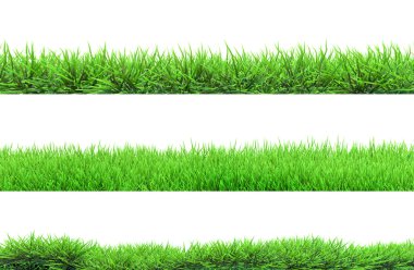 grass isolated clipart